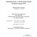 Powiększ obraz: certificate 6