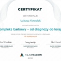 Powiększ obraz: certificate 7