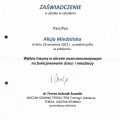 Powiększ obraz: certificate 11
