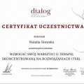 Powiększ obraz: certificate 1