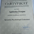 Powiększ obraz: certificate 3