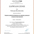 Powiększ obraz: certificate 5