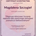 Powiększ obraz: certificate 2