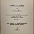 Powiększ obraz: certificate 4