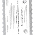 Powiększ obraz: certificate 1
