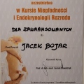 Powiększ obraz: certificate 2