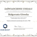 Powiększ obraz: certificate 4