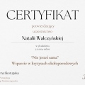 Powiększ obraz: certificate 2
