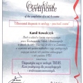 Powiększ obraz: certificate 2
