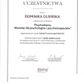 Powiększ obraz: certificate 8