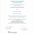 Powiększ obraz: certificate 12