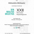 Powiększ obraz: certificate 11