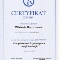 Powiększ obraz: certificate 4