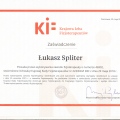 Powiększ obraz: certificate 1