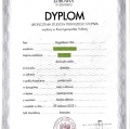 Powiększ obraz: certificate 1
