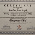 Powiększ obraz: certificate 3