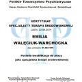 Powiększ obraz: certificate 2