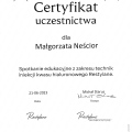 Powiększ obraz: certificate 13