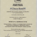 Powiększ obraz: certificate 4