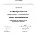 Powiększ obraz: certificate 8