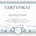 Powiększ obraz: certificate 5