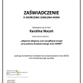 Powiększ obraz: certificate 1
