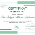 Powiększ obraz: certificate 5