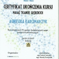 Powiększ obraz: certificate 5