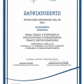 Powiększ obraz: certificate 5