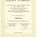 Powiększ obraz: certificate 6