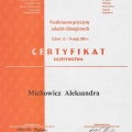 Powiększ obraz: certificate 15