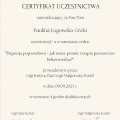 Powiększ obraz: certificate 1