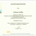 Powiększ obraz: certificate 8