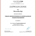 Powiększ obraz: certificate 2