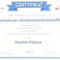 Powiększ obraz: certificate 9