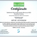 Powiększ obraz: certificate 9