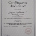Powiększ obraz: certificate 6