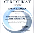 Powiększ obraz: certificate 7