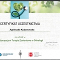Powiększ obraz: certificate 16