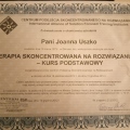 Powiększ obraz: certificate 2