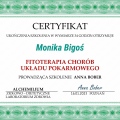 Powiększ obraz: certificate 6