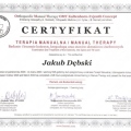 Powiększ obraz: certificate 4