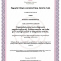 Powiększ obraz: certificate 2