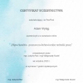 Powiększ obraz: certificate 10