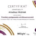 Powiększ obraz: certificate 9