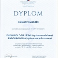 Powiększ obraz: certificate 7