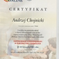 Powiększ obraz: certificate 23