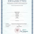 Powiększ obraz: certificate 4