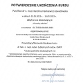 Powiększ obraz: certificate 47