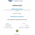 Powiększ obraz: certificate 1